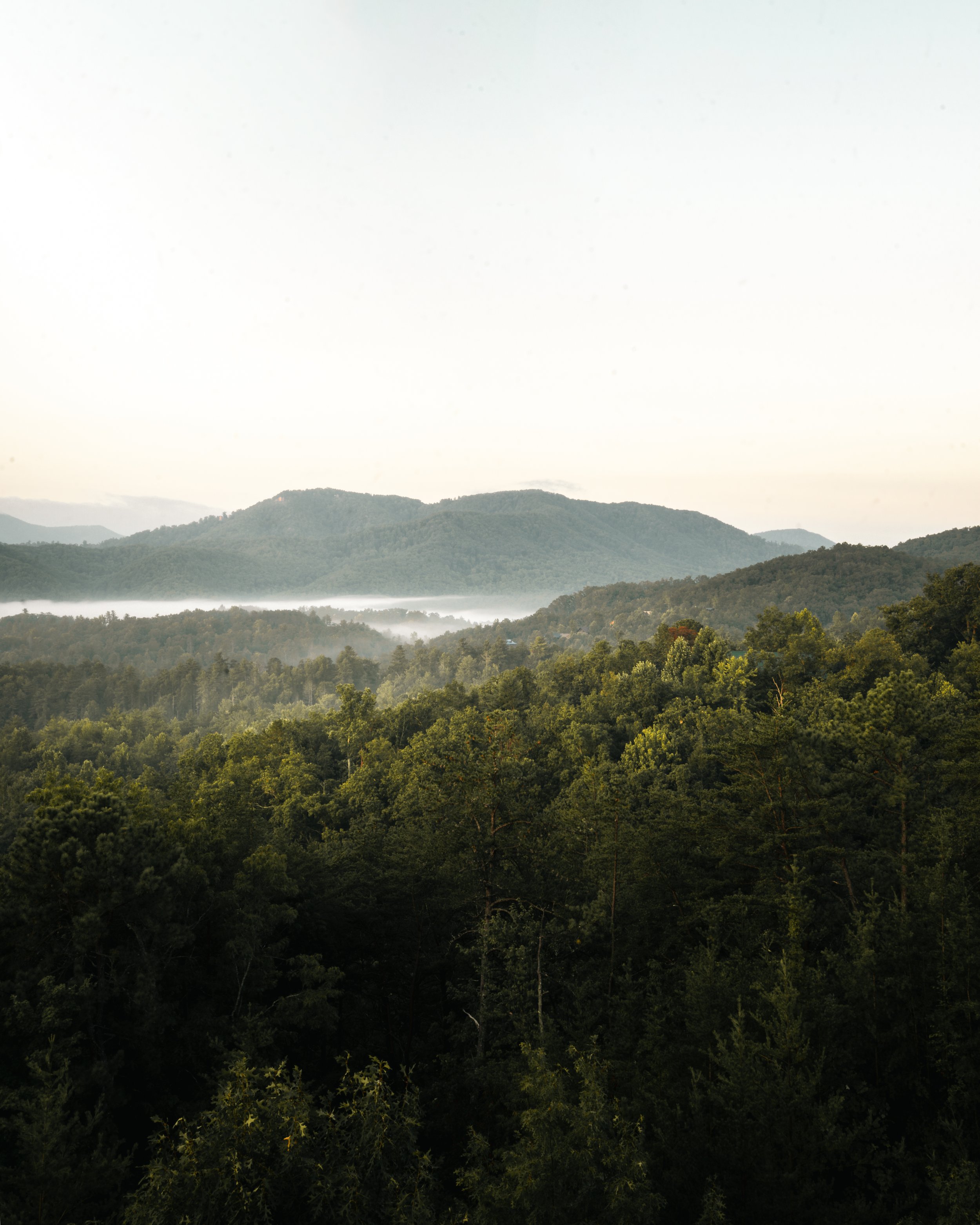 Landscape of green, forested mountains under a pale sky.